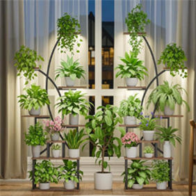 Plant stand