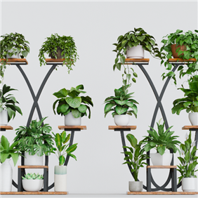 Plant stand