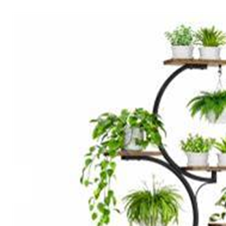 Plant stand